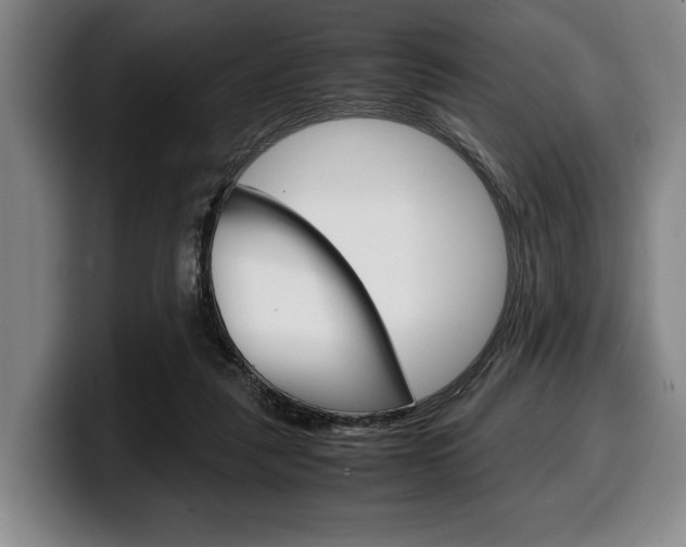 X0000100340259200806051231