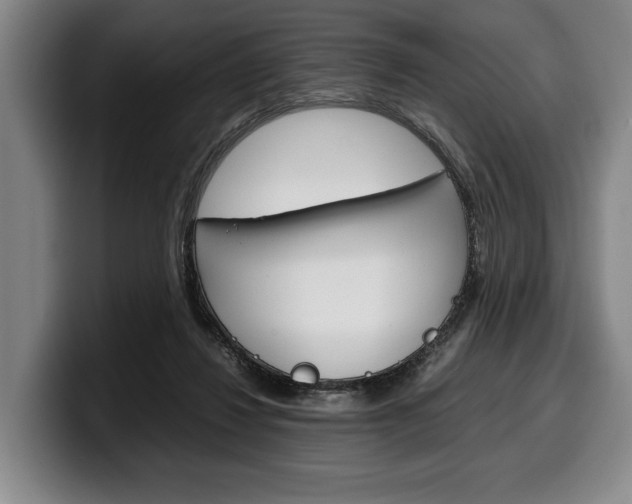 X0000100340260200806051231