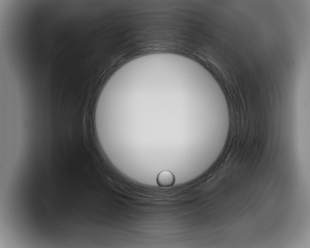 X0000100340264200806051231