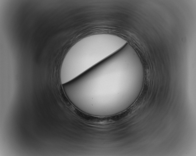 X0000100340267200806051231