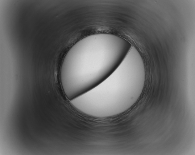 X0000100340269200806051231