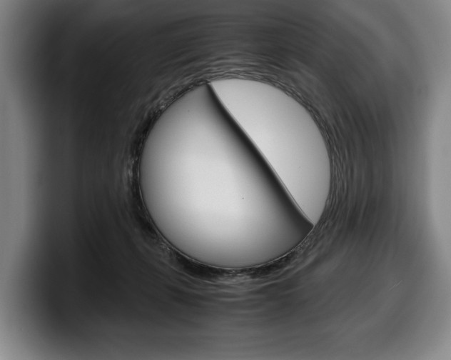 X0000100340271200806051231