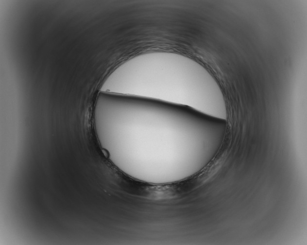 X0000100340273200806051231