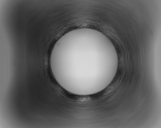 X0000100340274200806051231