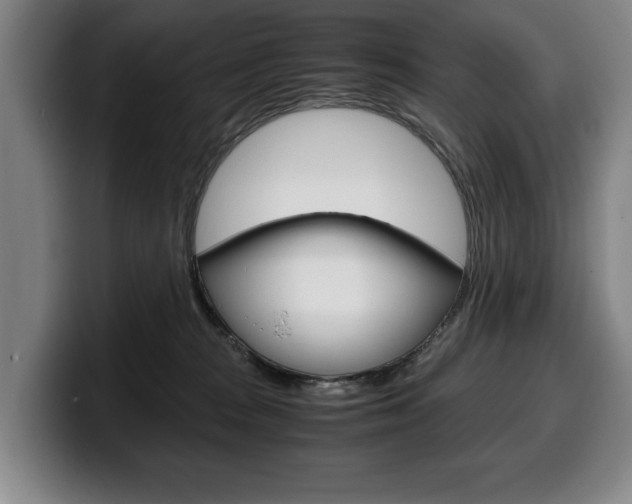 X0000100340277200806051231