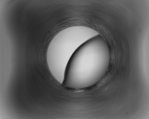 X0000100340278200806051231
