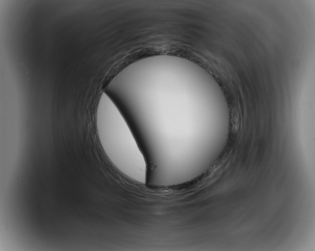 X0000100340279200806051231