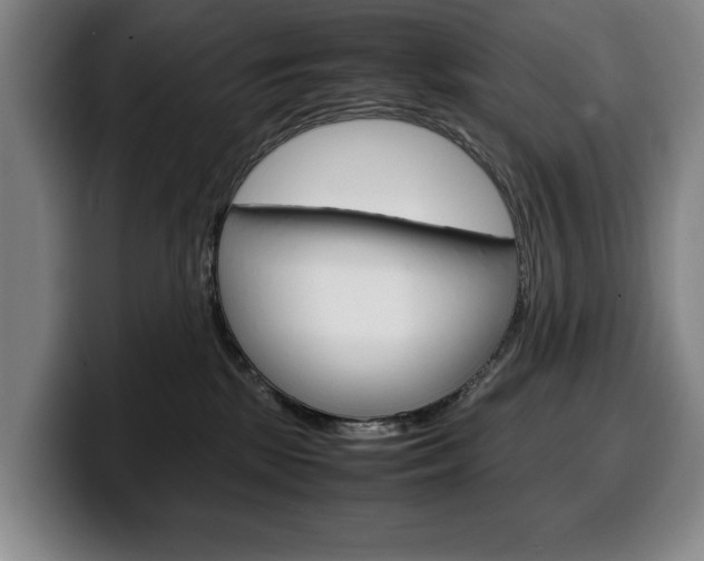 X0000100340281200806051231