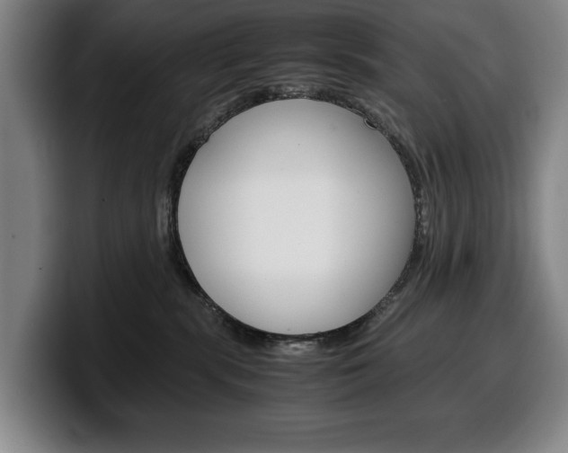X0000100340283200806051231