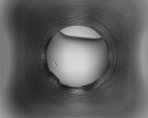 X0000100340284200806051231