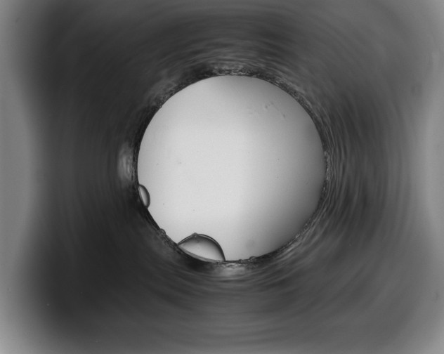 X0000100340287200806051231