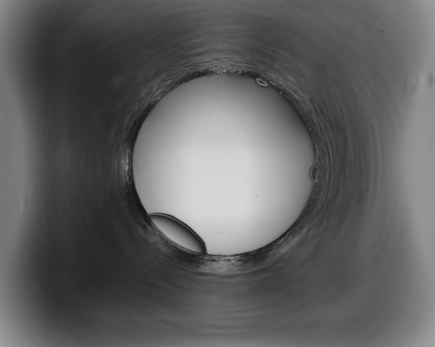 X0000100340288200806051231