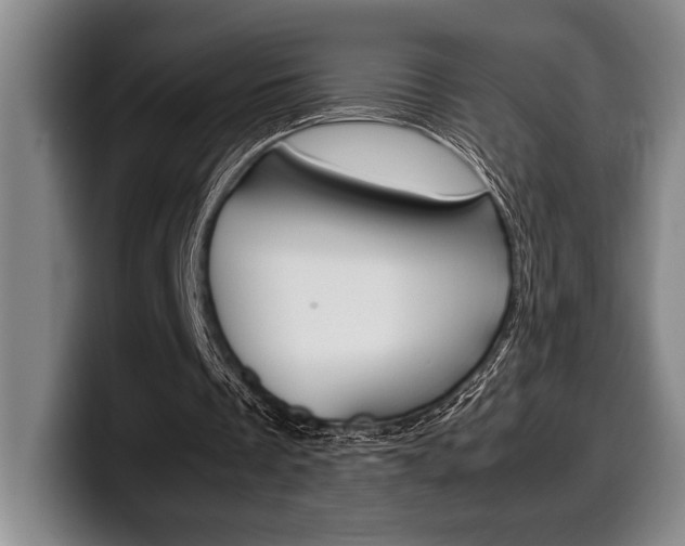 X0000100340289200806051231
