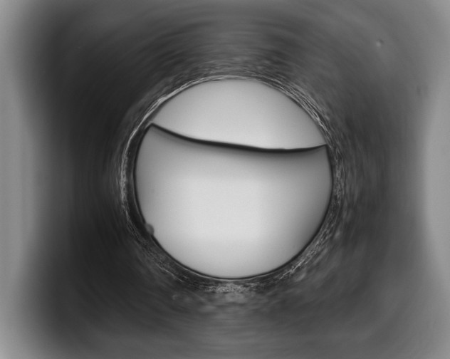 X0000100340290200806051231