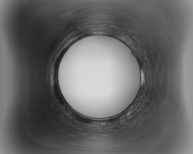 X0000100340291200806051231