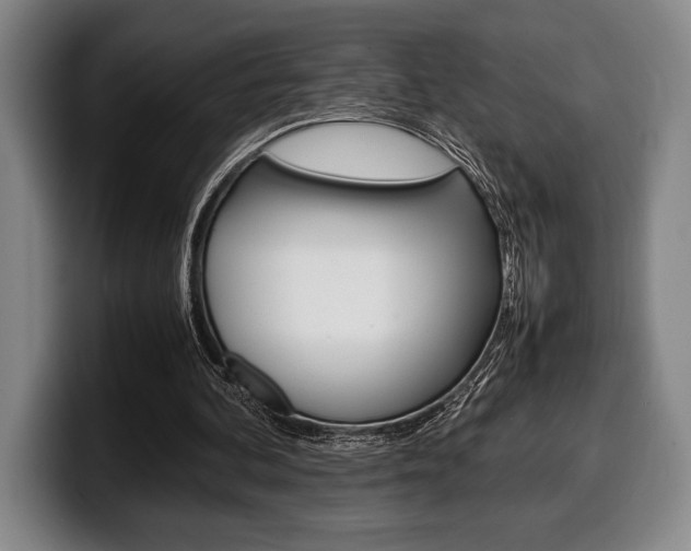 X0000100340292200806051231