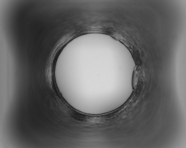 X0000100340293200806051231