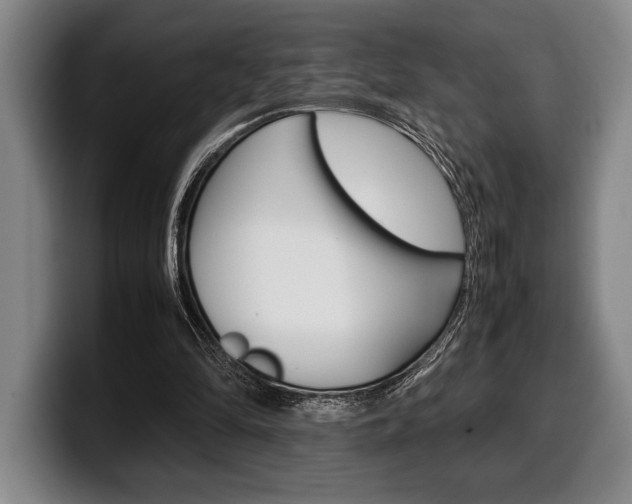 X0000100340294200806051231