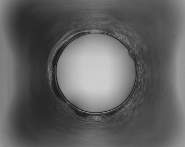 X0000100340295200806051231