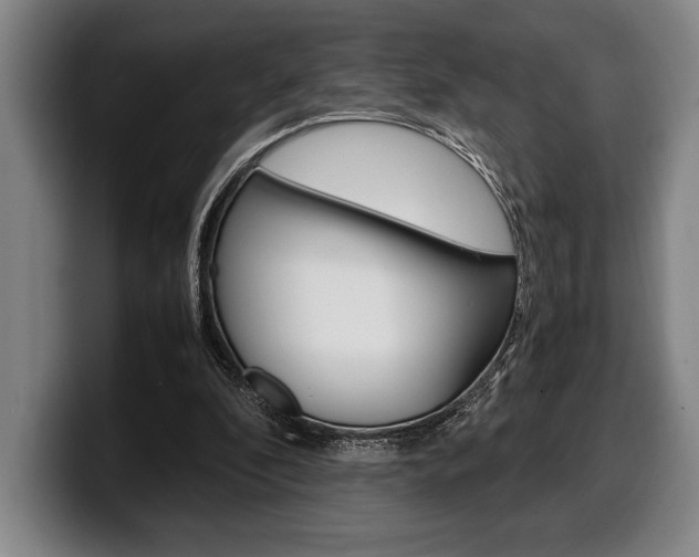 X0000100340296200806051231