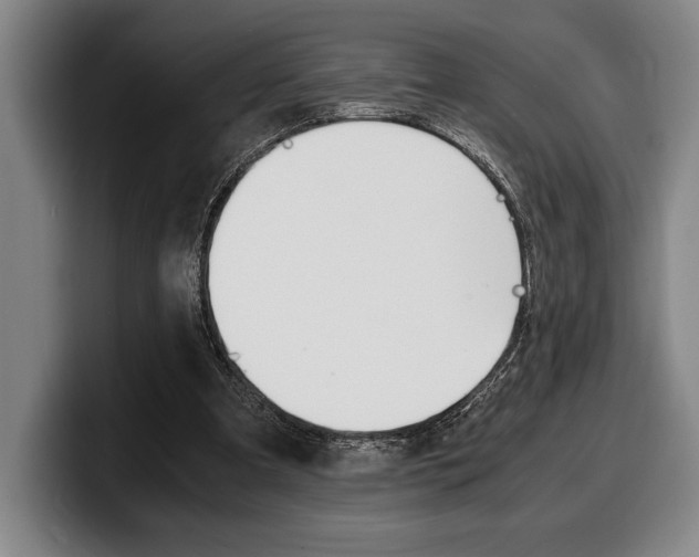 X0000100340297200806051230