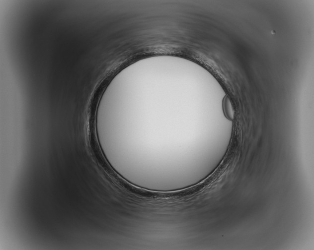 X0000100340299200806051230