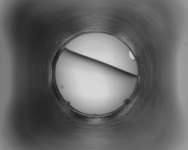 X0000100340301200806051230