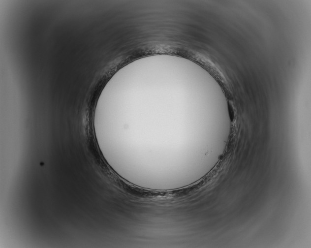 X0000100340306200806051230