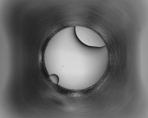 X0000100340310200806051230