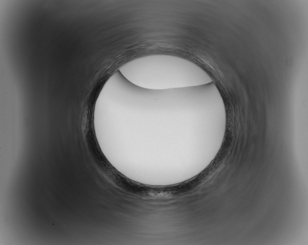 X0000100340311200806051230