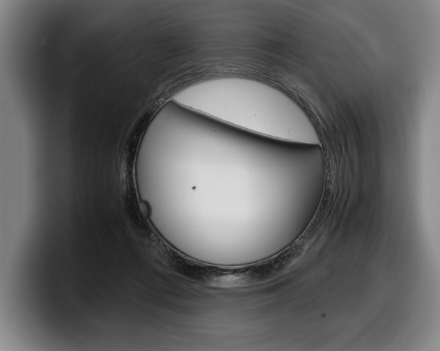 X0000100340312200806051230