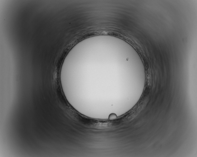 X0000100340314200806051230