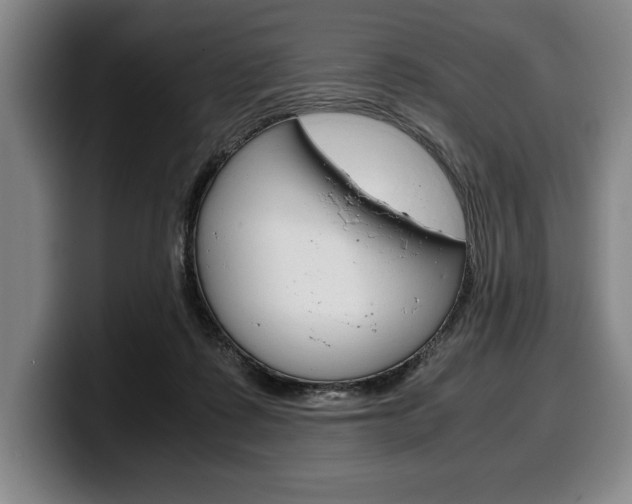 X0000100340315200806051230