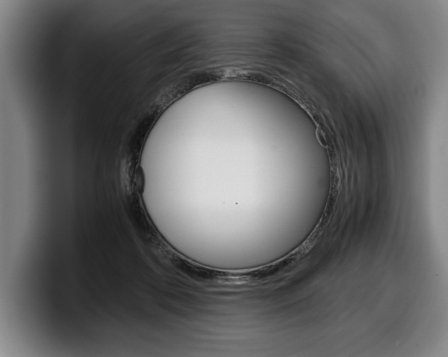 X0000100340316200806051230