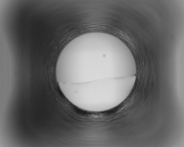 X0000100340317200806051230
