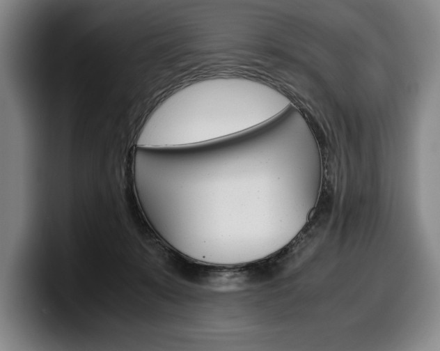 X0000100340319200806051230