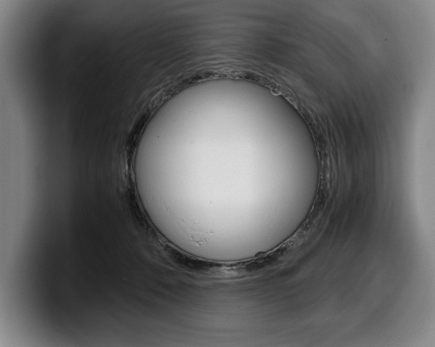 X0000100340320200806051230