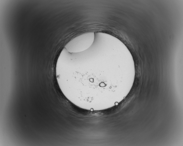 X0000100340321200806051230