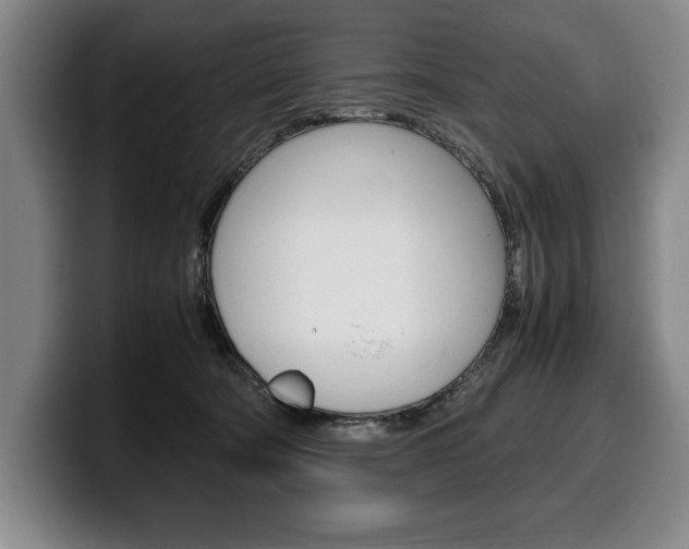 X0000100340322200806051230
