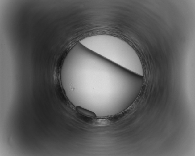 X0000100340324200806051230