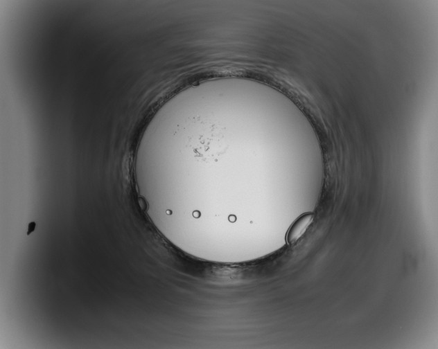 X0000100340325200806051230