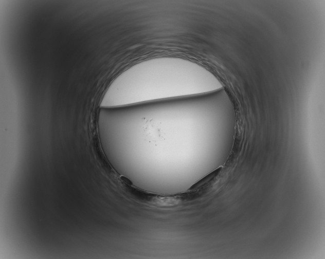 X0000100340327200806051230