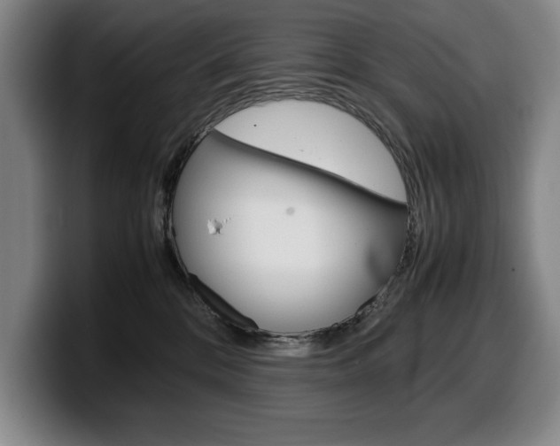 X0000100340328200806051230