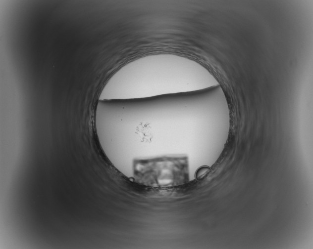 X0000100340329200806051230