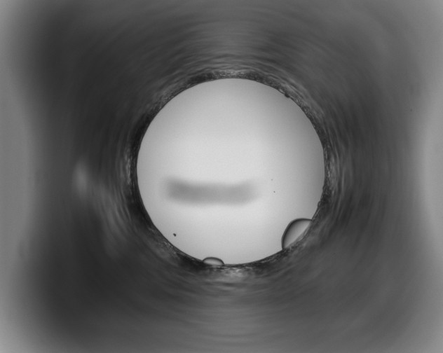 X0000100340330200806051230