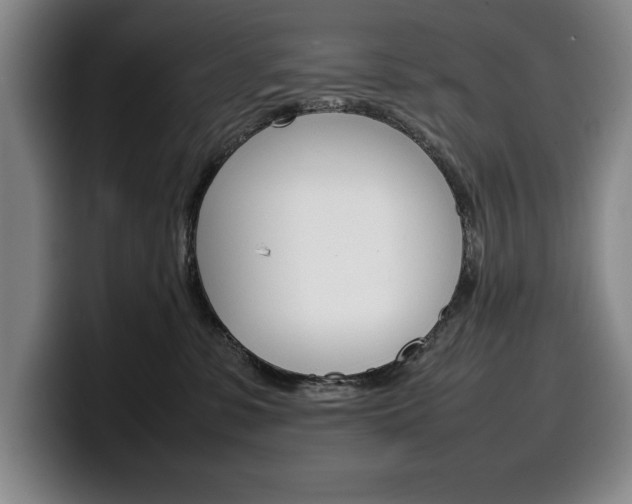 X0000100340331200806051230