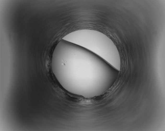 X0000100340332200806051230