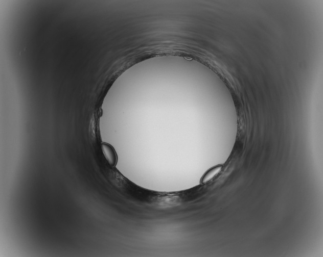 X0000100340333200806051230