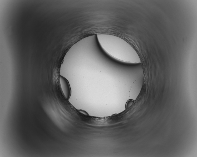 X0000100340335200806051230