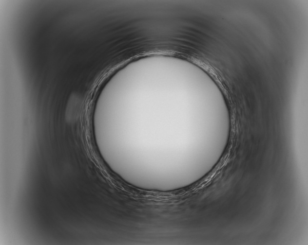 X0000100340337200806051229